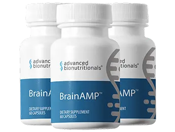BrainAMP free shipping