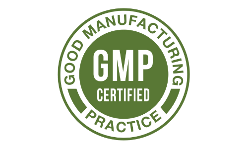 BrainAMP GMP